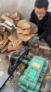 A log with a pimple splits easily. Rural firewood splitting scene.