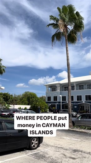 Only 1 promblem….I got 1 witness😃🤭 #investing #investment #caymanislands #funnyvideos