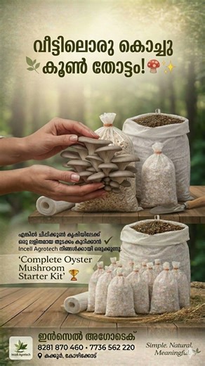 Mushroom Farming for Beginners | Complete Oyster Mushroom Kit