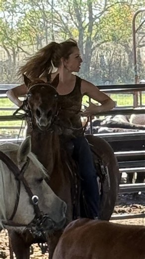 Susan Hickman | Country Music Recording Artist on Instagram: "These cows ain't gonna sort themselves 😂🐮 #geterdun #ranchsortingofamerica #cowgirl"
