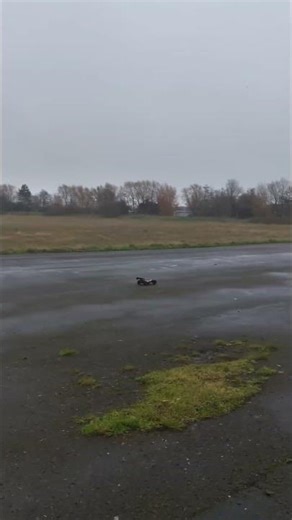 hpi trophy 🏆 notorious power 3.5 buggy race engine SH blue top #hpiracing #rcoffoad #rcbuggy