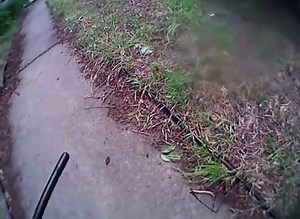 A Texas deputy without a warrant brutalized woman during a call about her dogs. It was an aparent case of contempt of cop. FULL STORY: https://bit.ly/2LmGc9e | PINAC News