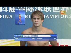 Men's 1 metre springboard final, Diving, Shanghai World Aquatics Championships 2011 (4/6)