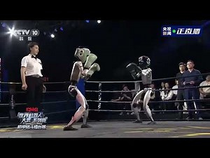 🥊 The First Robot Boxing Tournament Took Place in Hangzhou, China