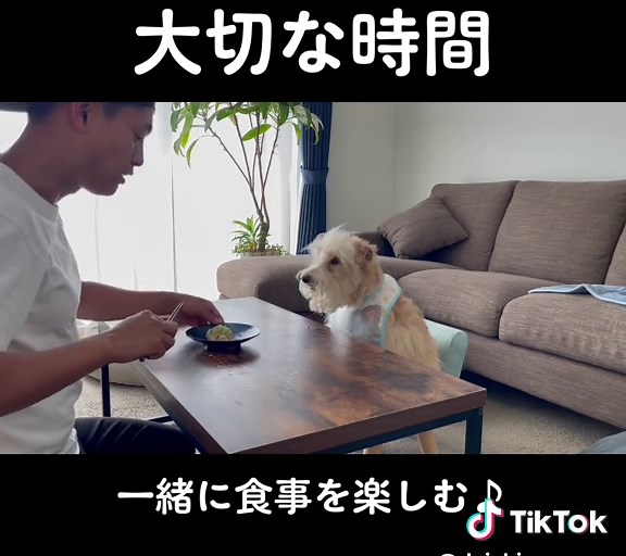 わんわんとの大切な時間♪ #わんわん #犬のいる暮らし #dog #犬