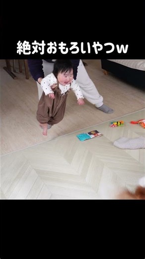 【生後6ヶ月】赤ちゃんを抱っこしてキャバリア犬と追いかけっこした結果ｗ