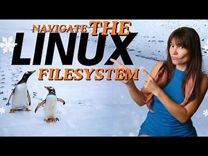 Linux Terminal Fundamentals: Navigating in the Filesystem