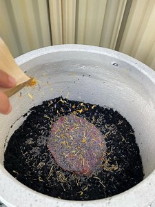 Placenta Ritual Burial Kit Keepsake Instructions - Etsy Australia