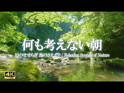 Soothing River Sounds & Gentle Birdsong | Relaxing Nature Sounds for Stress Relief & Sleep (4K)