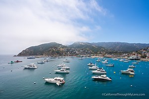 Avalon Day Trip: What to do on Catalina Island - California Through My Lens