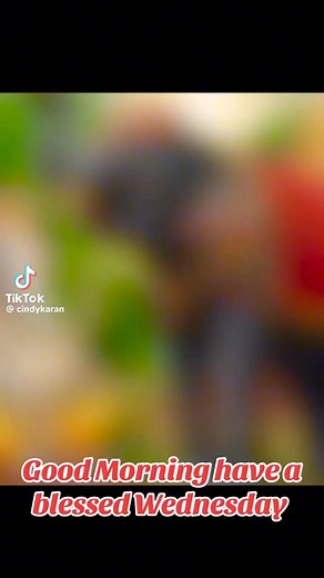 Mattie Matie on Reels