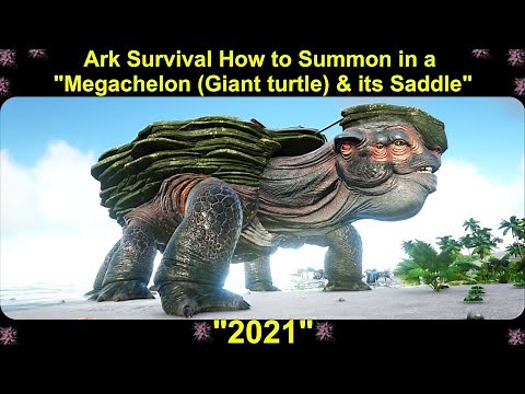 Ark Survival How to Summon in a "Megachelon (Giant turtle) & its Saddle" 2021