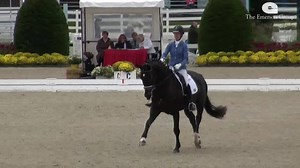 7K views · 156 reactions | Check out those gaits!!  Alice Tarjan and Harvest score an 8.02 in the FEI YH Test for 6 Year Olds at Dressage At Devon! Watch live: https://www.usef.org/network/coverage/2018devondressage/ | USEF Network | Facebook
