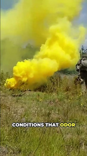 💨 Skunk Spray Travels 1 KM?! #animals #didyouknow #facts #wildlife #shortvideo
