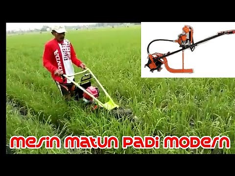 Mesin matun padi | Alat pertanian modern