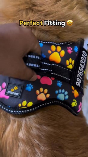 114K views |  ORDER NOW  - Personalized Dog Harness. Get free custom GIFT with every harness purchase! Limited time offer! | Indihopshop | Facebook