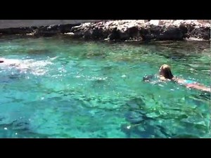 Bladefish Sea Scooter on Captain Ergun's Boat