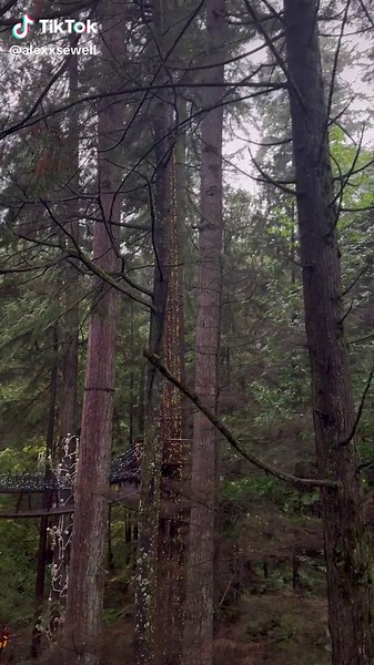 Capilano Suspension Bridge Vancouver Experience