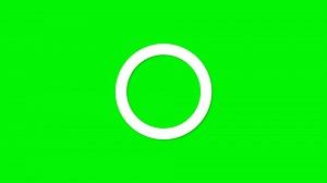 Download Circle shape animation on green screen for free
