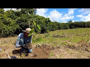 Projeto Inaugural do Programa Nacional de Florestas Produtivas