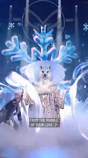 Unveiling Snow Fox's Hidden Identity on Masked Singer AU