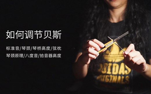 如何调节贝斯 - 调琴颈/调贝斯/琴桥高度/弦枕/调标准音/钢筋原理/八度音/拾音器高度 - 贝斯基础调节教程分享 抛砖引玉/弦距/琴颈/弦高/BASS