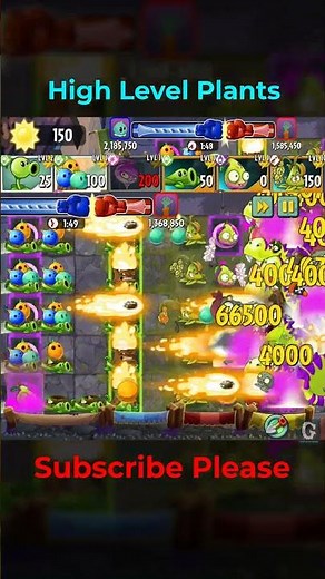 PvZ2 Arena 16.4 Million Score, This Week 262 Peashooter (High Level Plants)