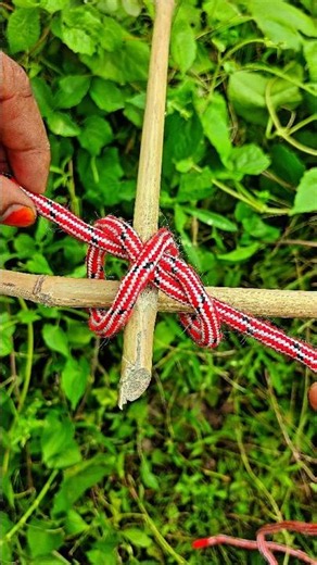 Strong Machan Knot for Farmers 🌿 Bamboo Binding Trick