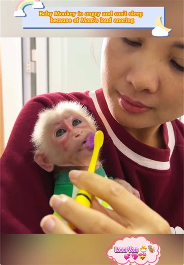 Baby Monkey is angry and can't sleep because of Mom's loud snoring #animal #animals #monkeys #pet #monkey #babymonkey #loveanimals #babyanimals #pets