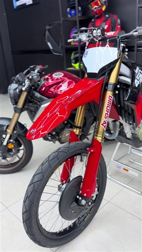 Ducati Desmo PPf Explained: Features, Sound, and Why It Impresses