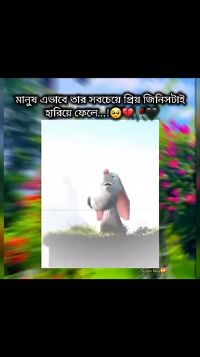 凉凉凉凉凉凉 | Parve Z | Facebook