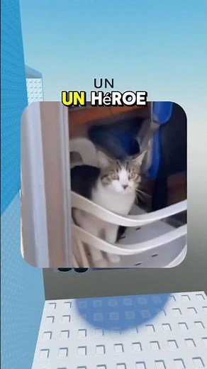 This little kitten opened the door for its owner! 😺