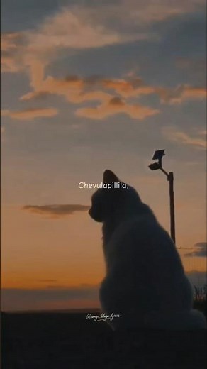 Kaatuka Kanule - Akasam Nee Haddura• aesthetic • lyrics • WhatsApp status • Telugu songs