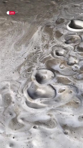 İfoam- Sumqayıt Asoil YDM