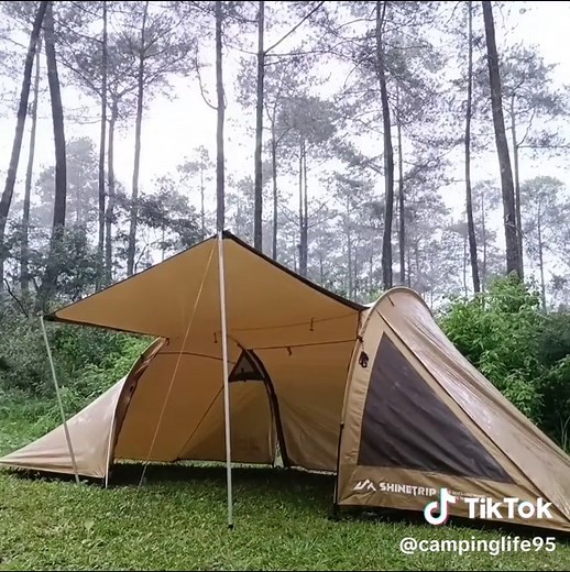 Camping in the Rain: An ASMR Experience
