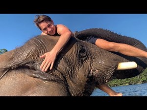 I WENT SWIMMING With An ELEPHANT !