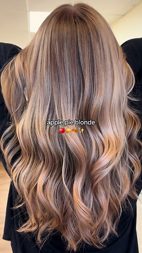 Warm and Spicy Fall Blonde Hair Tutorial | Connecticut Hair Stylist