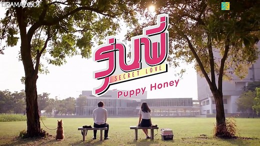 senior-secret-love-puppy-honey-episode-3