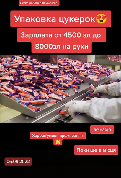 Inside a Candy Bar Production Line: Sweet Process Unveiled