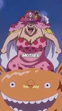 Top Married Couples in One Piece ❤️