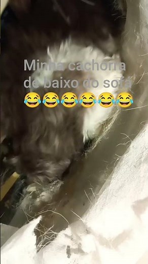 kkkkkkkkkkkkkkkkkkkkkkkkkkkk kkkkkkkkkkkkkkkkkkkkkkk 😂😂😂