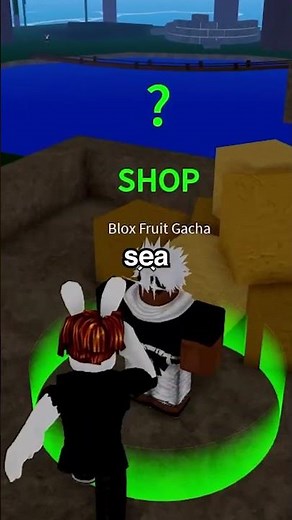 Blox Fruits has a CRAZY Secret...