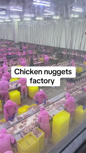 Visit a Chicken Nuggets Factory in Milan, Italy