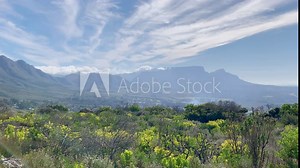 Fynbos landscape in Western Cape South Africa