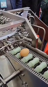 282K views · 409 reactions | The Process of Egg Production | Bernard Mornah | Facebook