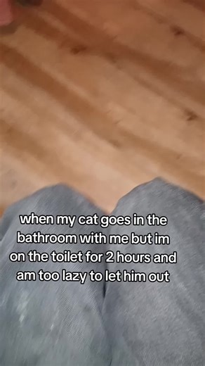 When Your Cat Refuses to Leave the Bathroom