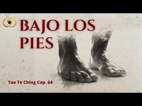 Tao Te Ching Chapter 64 — Stop Planning and Start Walking — Taoism