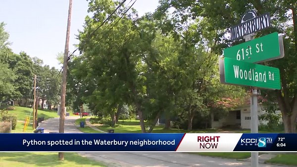 Python spotted in Des Moines neighborhood