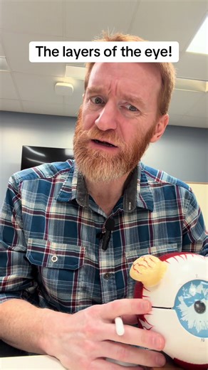 Discovering Eye Structures: Sclera, Lens, and More