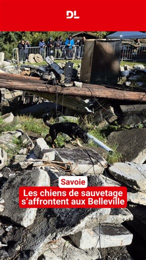 Ce week-end, la commune des Belleville a accueilli le premier championnat régional de chiens de sauvetage en décombres. ➡️ https://l.ledauphine.com/ChB | Le Dauphiné Libéré Savoie